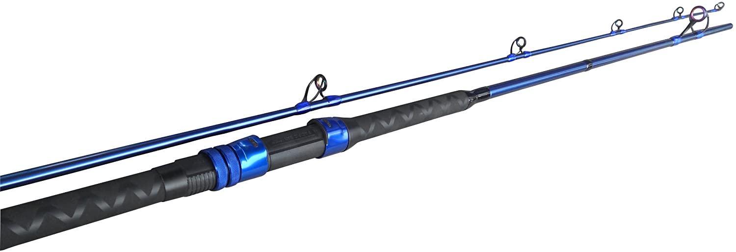 Best Saltwater Travel Spinning Rods For Your Next Trip