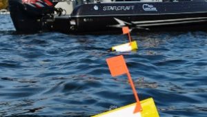 best planer boards for walleye