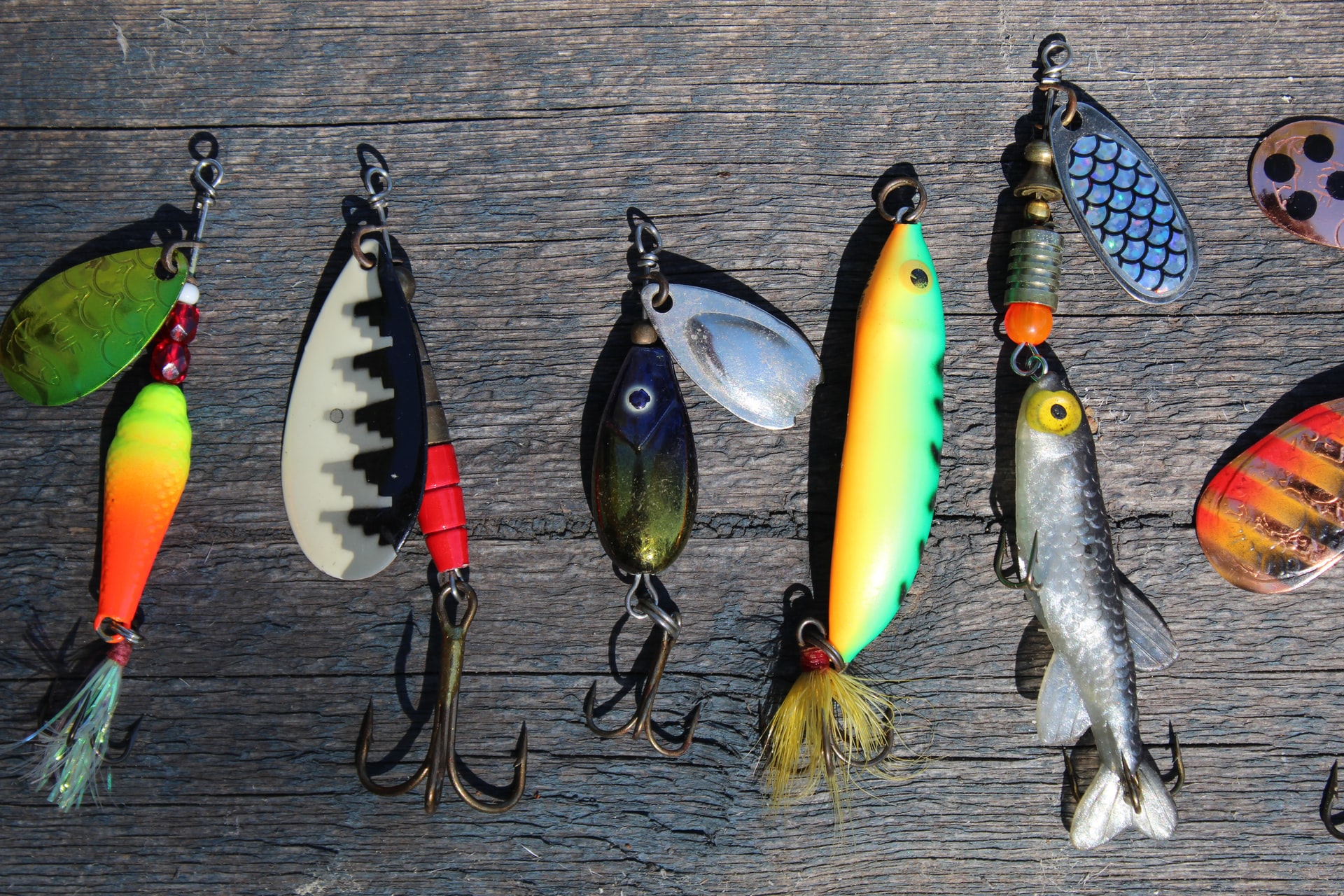 4 Best Artificial Bait for Lake Fishing