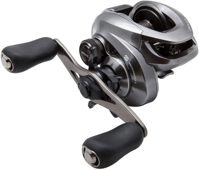 4 Best Baitcasting Reel For Light Lures