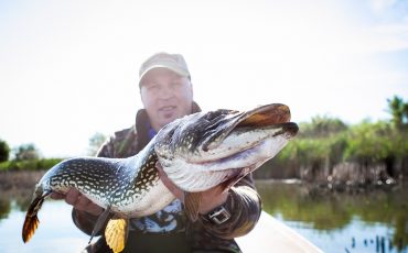 best Northern Pike fishing in United States