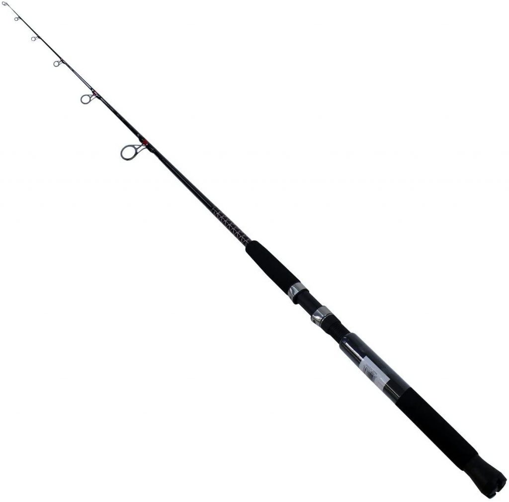 Best Beach Casting Rod - EatThatFish.com