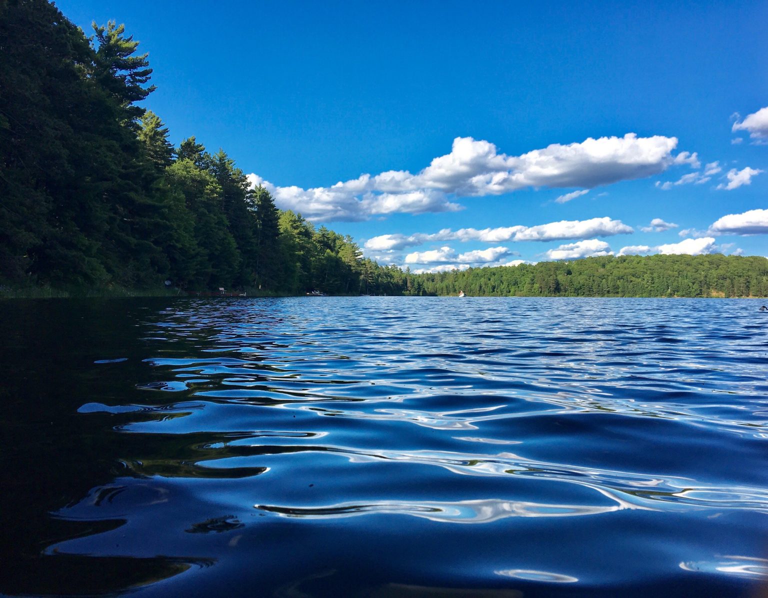 The Best Bass Fishing Lakes In Wisconsin! - EatThatFish.com