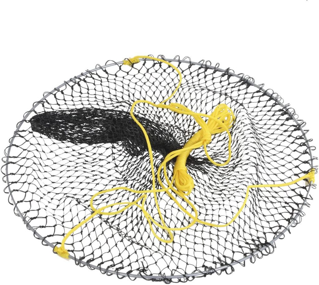 5 Landing Nets for Pier Fishing Don’t Let Your Catch Escape!