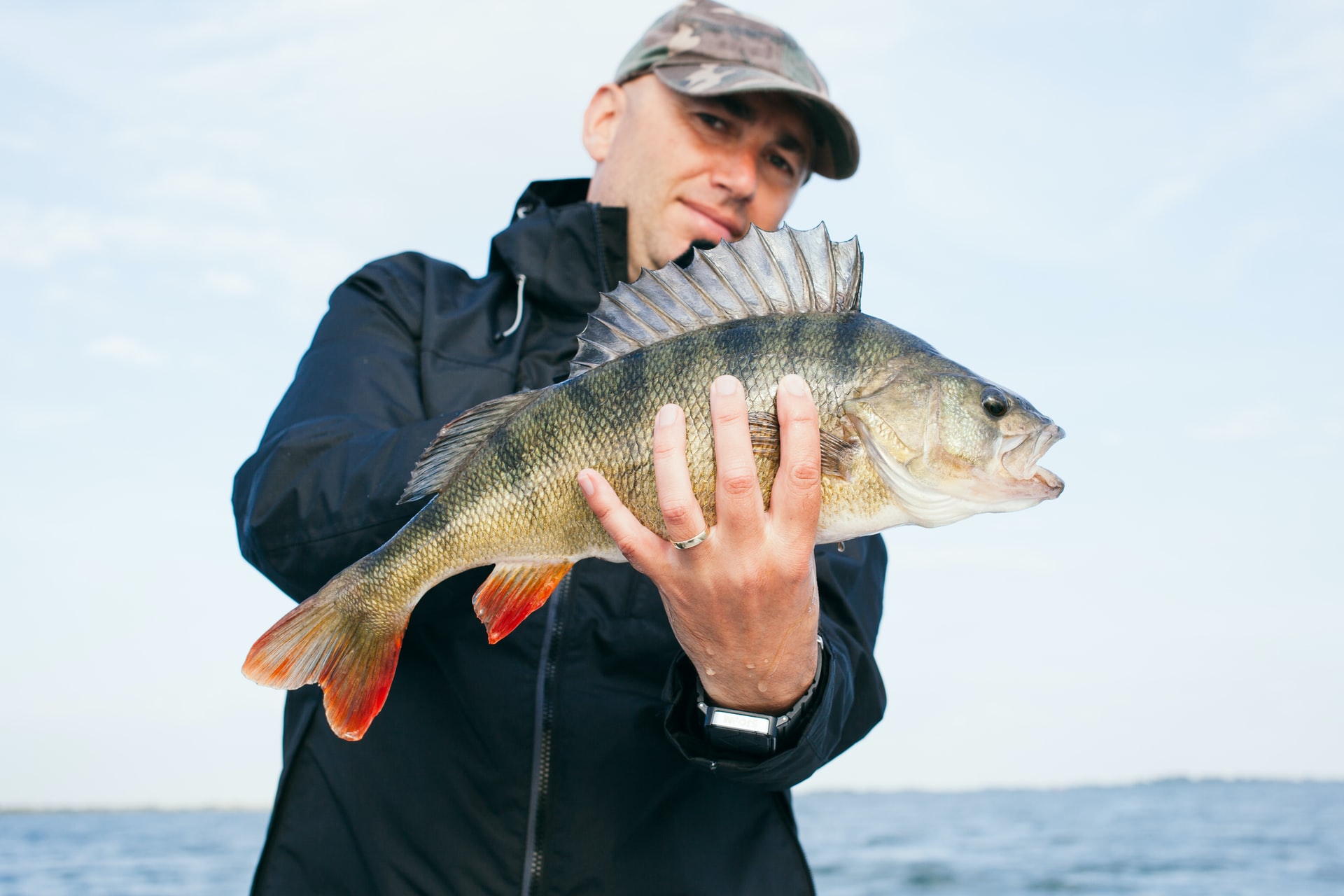 How To Remove Fish Smell From Hands After Fishing