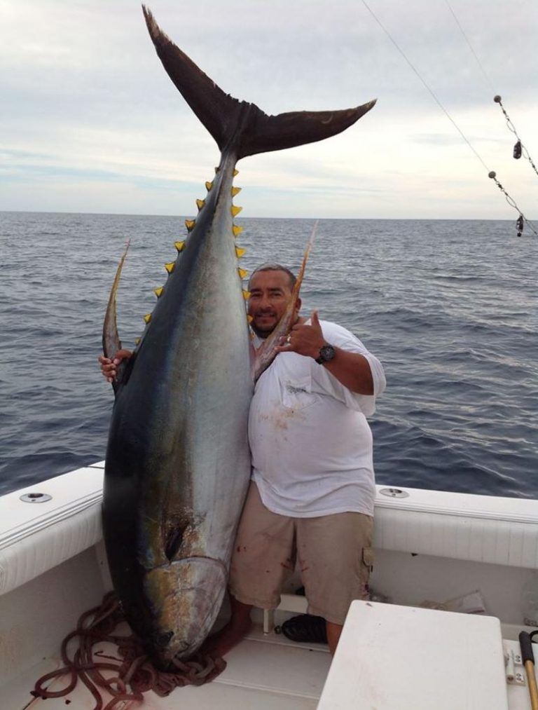 Where to Catch Bluefin Tuna and Yellowfin Tuna? Top 8 Spots in the World!