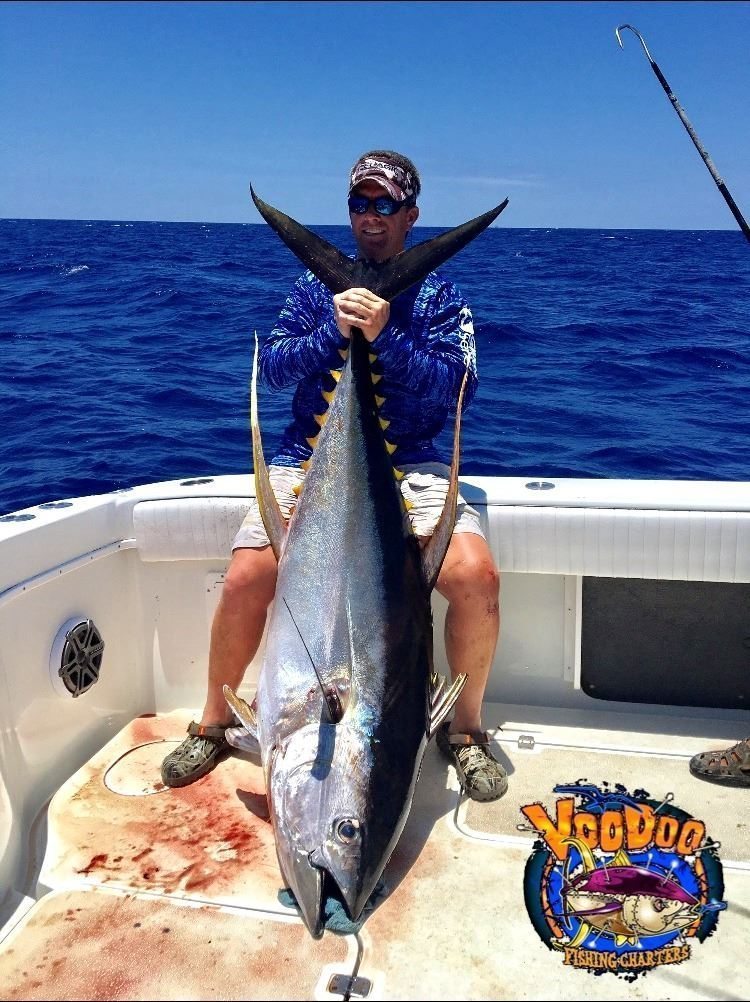 where to catch bluefin tuna