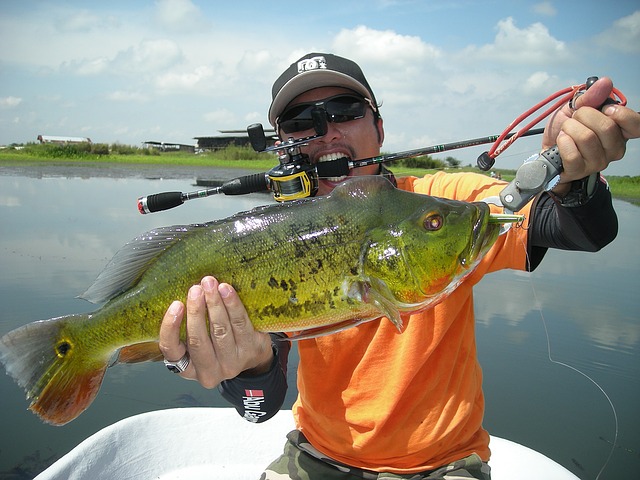 what-fish-are-biting-in-crystal-river-fl