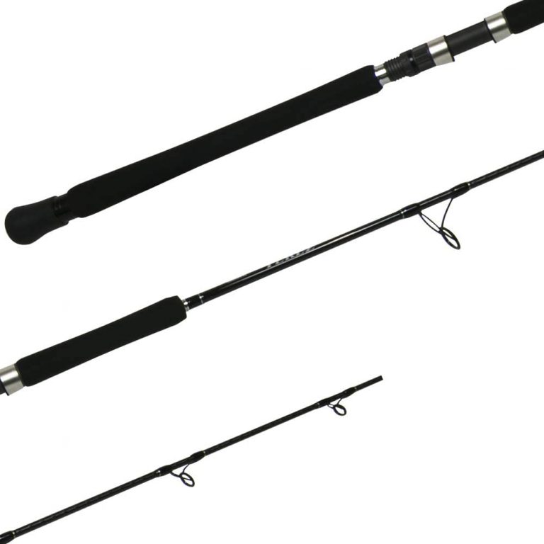 The Best Rods For Tuna Fishing — An Excellent Review