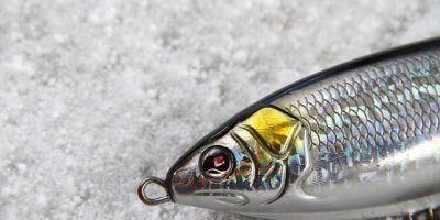 Best Topwater Lures for Saltwater