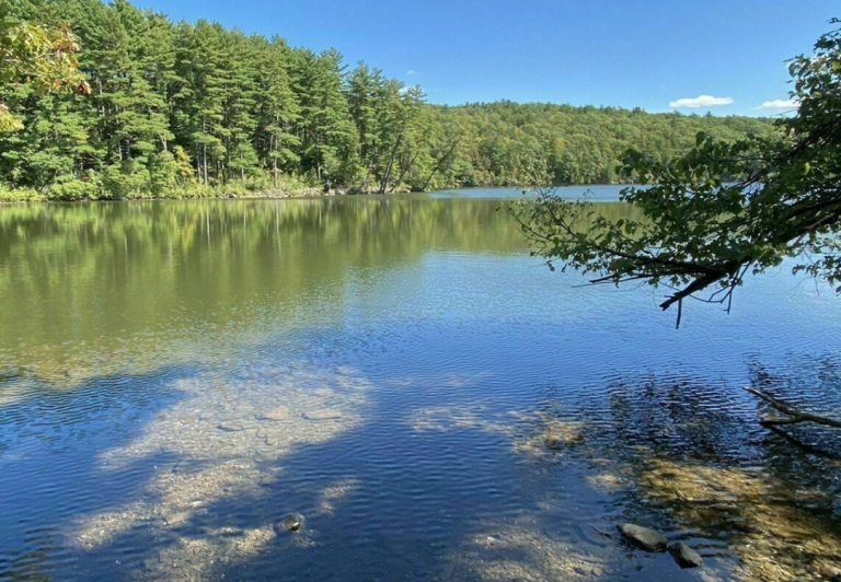 Best Fishing Spots In Vermont: Top Places You Can Visit