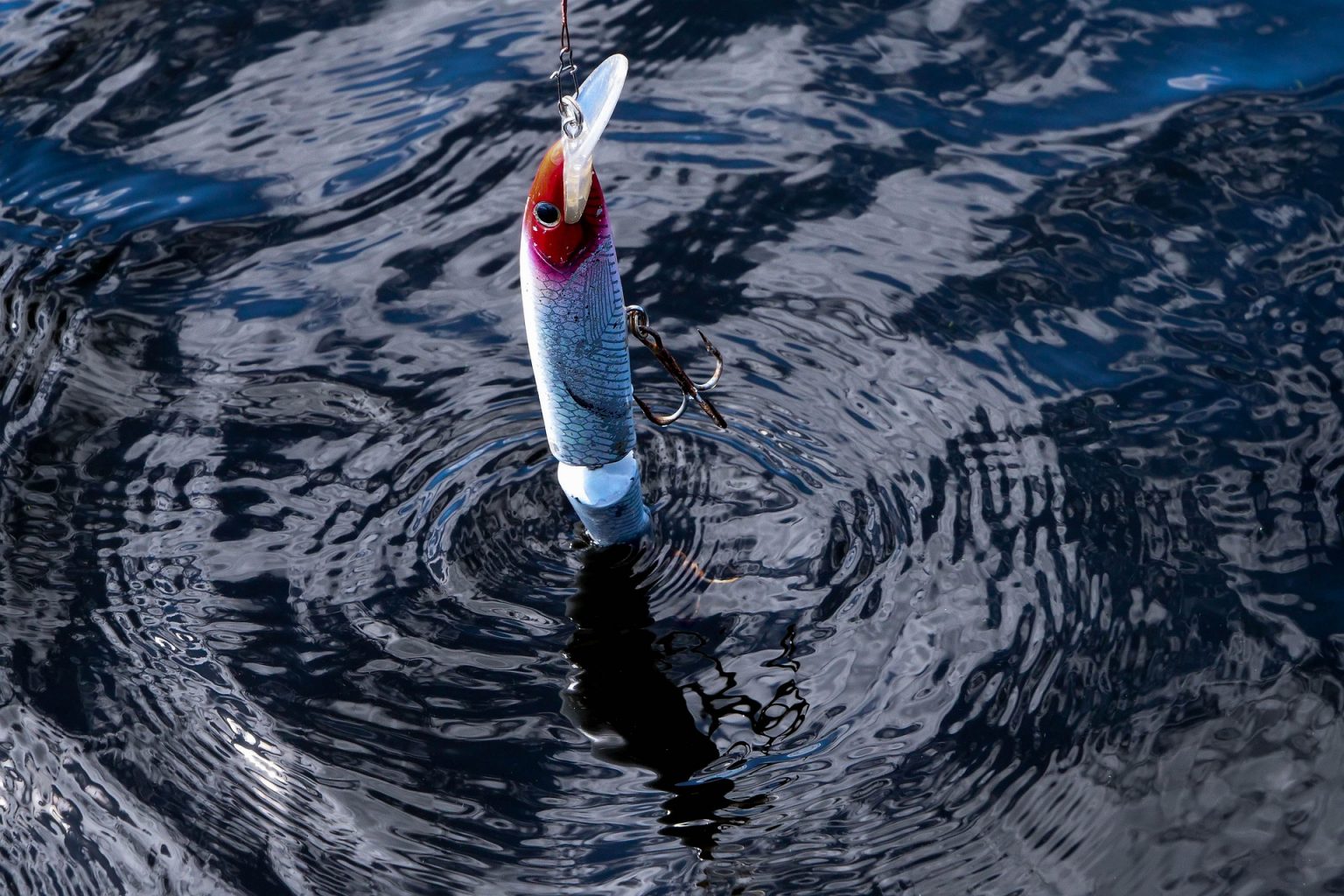 Learning How to Use a Bottom Bouncer - EatThatFish.com