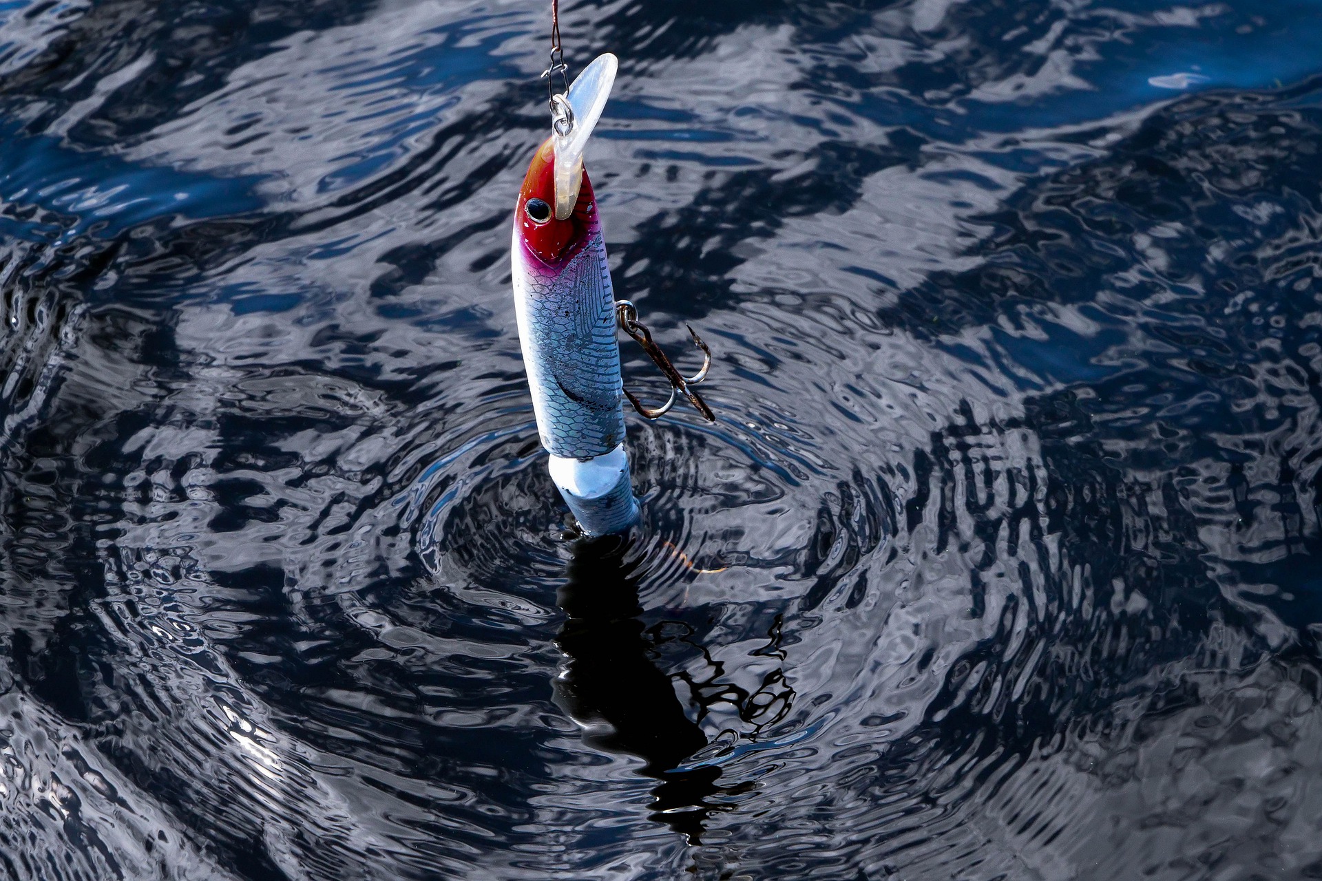 Learning How To Use A Bottom Bouncer - Eatthatfish.com