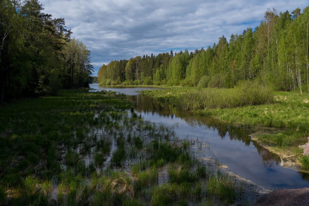Best Walleye Fishing in Michigan