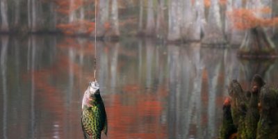 best crappie lakes in U.S.